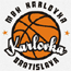 https://img.pauaudio.com/img/basketball/team/0c2f73d2ab7041cf90029a20deff7f17.gif