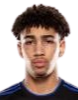 https://img.pauaudio.com/img/football/player/fb7fd3390bdc25307ce54843fe6472dd.png